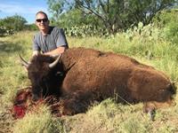American Bison Hunts with professional hunting guide Dan Moody Hunting Services in Texas
