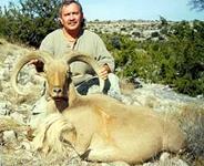 Aoudad Hunts with professional hunting guide Dan Moody Hunting Services in Texas
