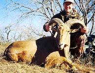 Aoudad Hunts with professional hunting guide Dan Moody Hunting Services in Texas