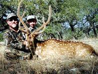 Axis Hunts with professional hunting guide Dan Moody Hunting Services in Texas