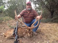 Axis Hunts with professional hunting guide Dan Moody Hunting Services in Texas