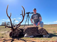 Axis Hunts with professional hunting guide Dan Moody Hunting Services in Texas