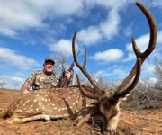 Axis Hunts with professional hunting guide Dan Moody Hunting Services in Texas