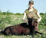 Black Hawaiian Hunts with professional hunting guide Dan Moody Hunting Services in Texas
