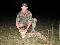 Bobcat Hunts with professional hunting guide Dan Moody Hunting Services in Texas