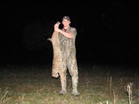 Bobcat Hunts with professional hunting guide Dan Moody Hunting Services in Texas