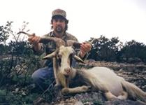 Catalina Goat Hunts with professional hunting guide Dan Moody Hunting Services in Texas