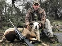 Corsican Ram Hunts with professional hunting guide Dan Moody Hunting Services in Texas