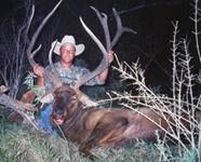 Elk Hunts with professional hunting guide Dan Moody Hunting Services in Texas