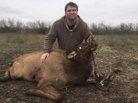 Elk Hunts with professional hunting guide Dan Moody Hunting Services in Texas