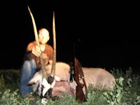Gemsbok Hunts with professional hunting guide Dan Moody Hunting Services in Texas