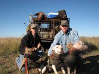 Wild Hog Hunts with professional hunting guide Dan Moody Hunting Services in Texas