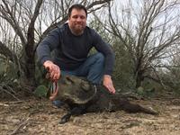 Javalina Hunts with professional hunting guide Dan Moody Hunting Services in Texas