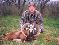 Mouflon Hunts with professional hunting guide Dan Moody Hunting Services in Texas