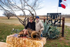 Mouflon Hunts with professional hunting guide Dan Moody Hunting Services in Texas