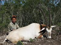Oryx Hunts with professional hunting guide Dan Moody Hunting Services in Texas