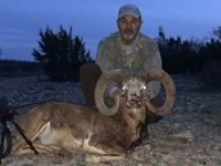 Red Sheep Hunts with professional hunting guide Dan Moody Hunting Services in Texas