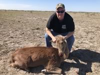 Red Stag Hunts with professional hunting guide Dan Moody Hunting Services in Texas