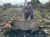 Red Stag Hunts with professional hunting guide Dan Moody Hunting Services in Texas