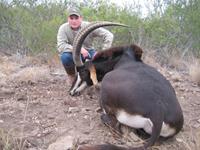 Sable Hunts with professional hunting guide Dan Moody Hunting Services in Texas