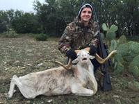 Texas Dall Hunts with professional hunting guide Dan Moody Hunting Services in Texas