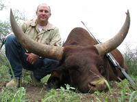 Watusi Hunts with professional hunting guide Dan Moody Hunting Services in Texas
