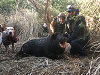 Meat Hog Hunts with professional hunting guide Dan Moody Hunting Services in Texas