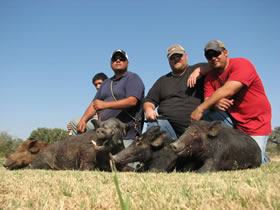 limited time hog hunting Trip