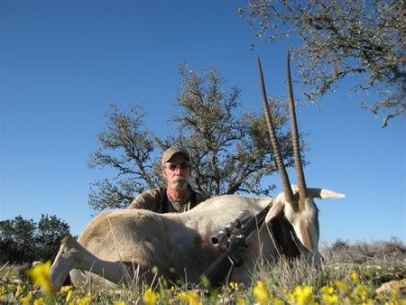 oryx hunt in Texas