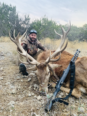 Red Stag hunt in Texas